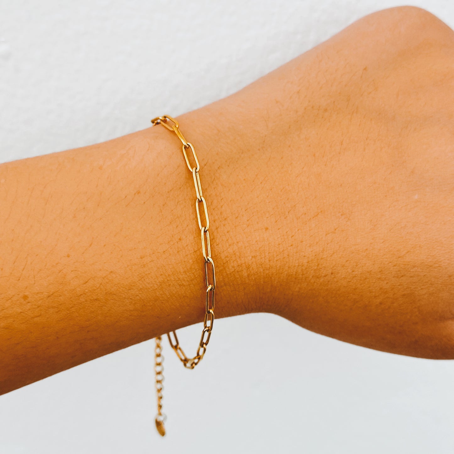 Dainty Paperclip Link Chain