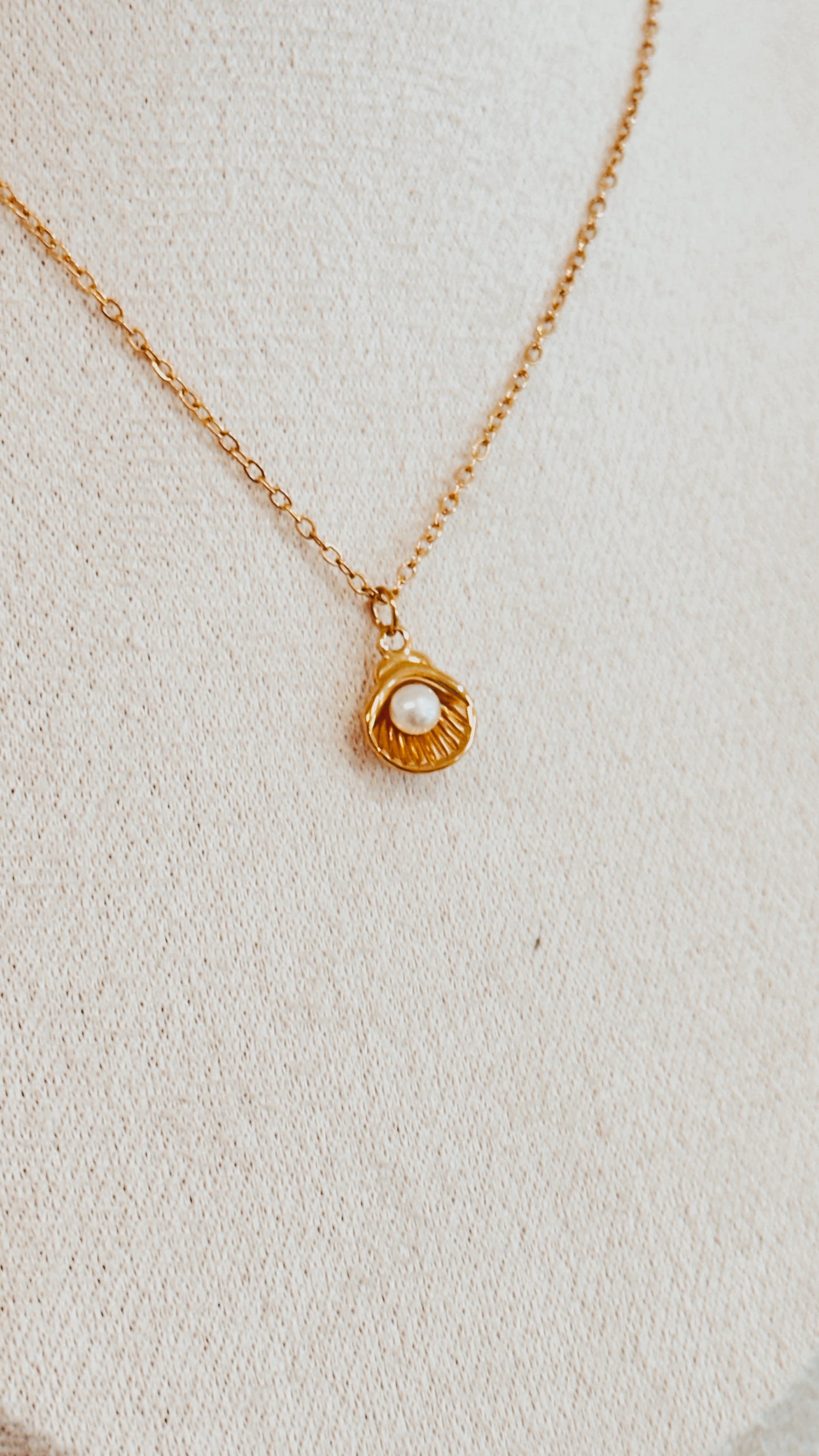 Dainty Shell Necklace