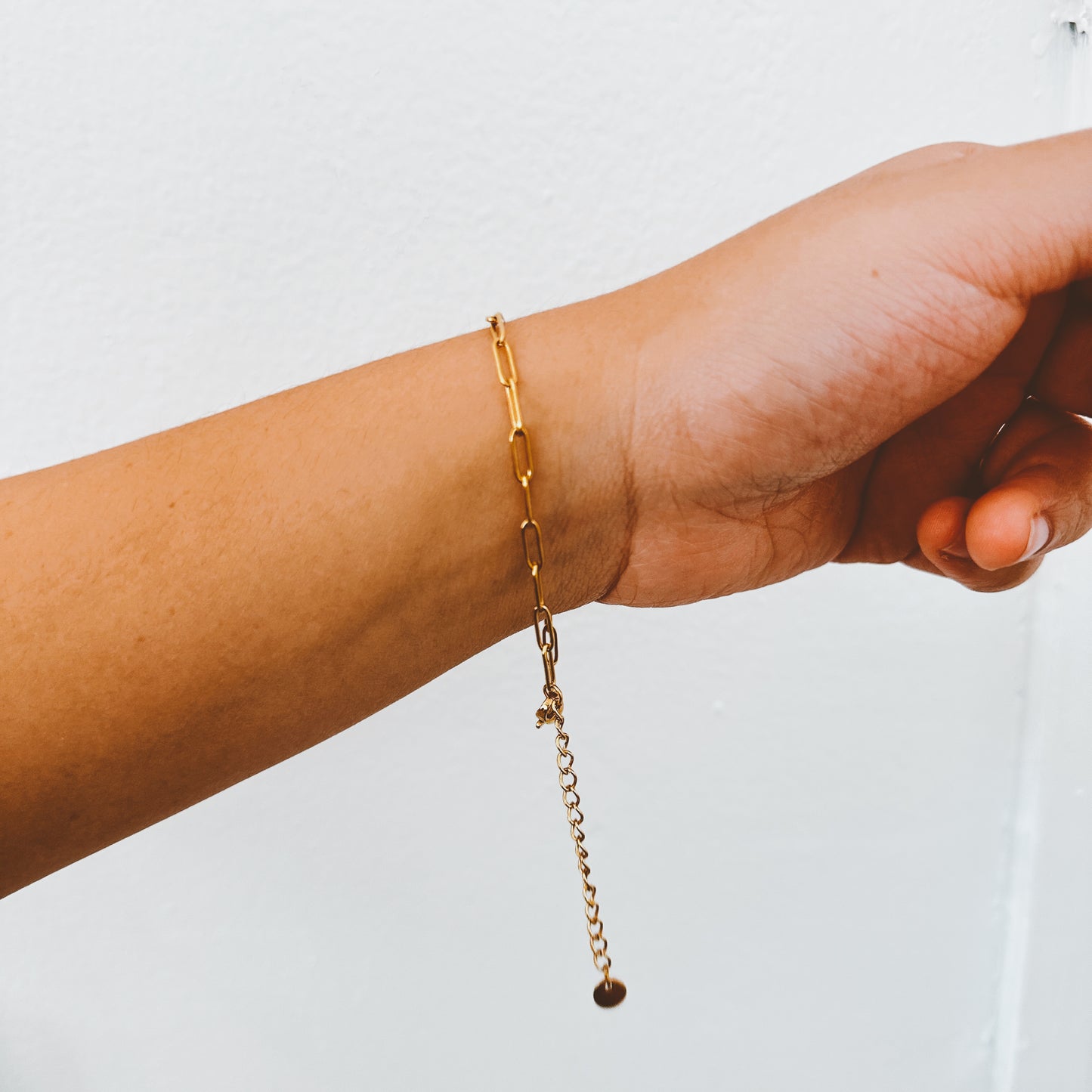 Dainty Paperclip Link Chain