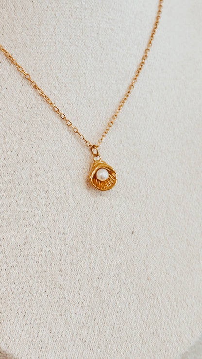Dainty Shell Necklace