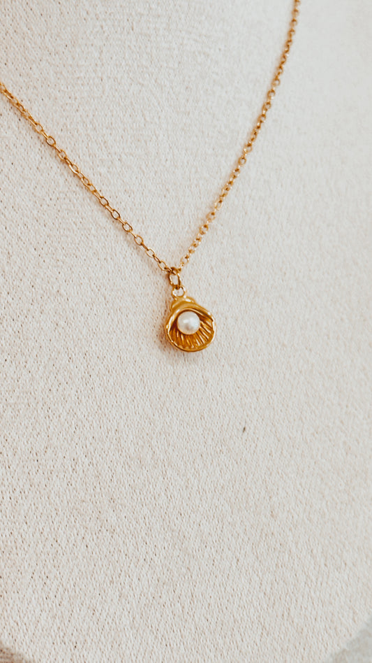 Dainty Shell Necklace