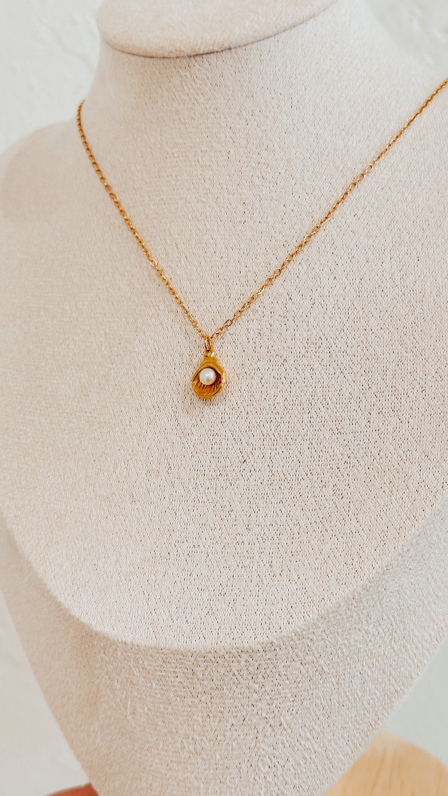 Dainty Shell Necklace
